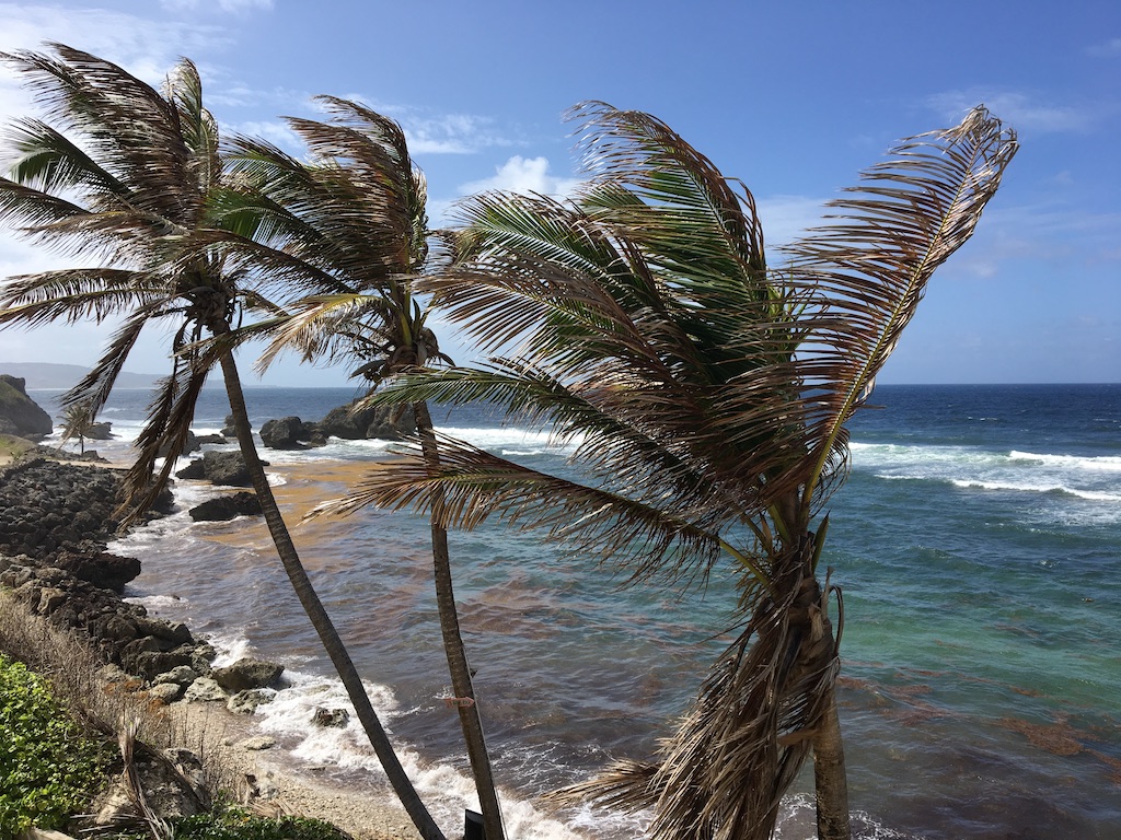 View From Atlantis Hotel, Barbados