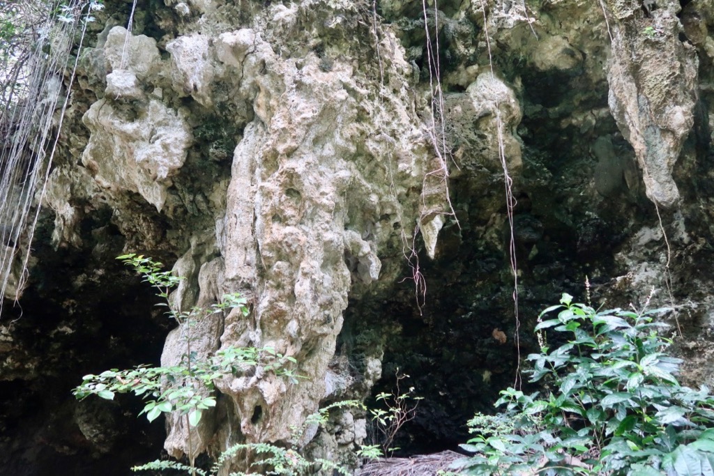 Welchamn Hall Gully - stalagmites and stalactites