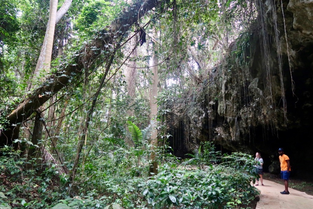 Welchman Hall Gully Barbados 2
