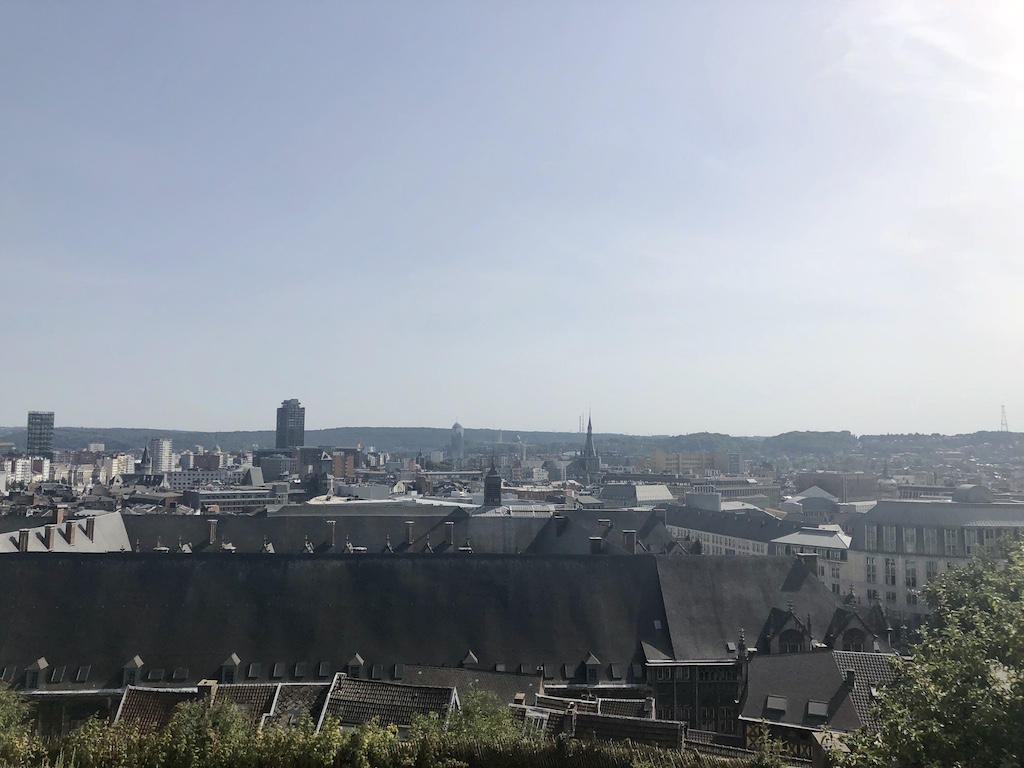 City view form Citadel Hillside