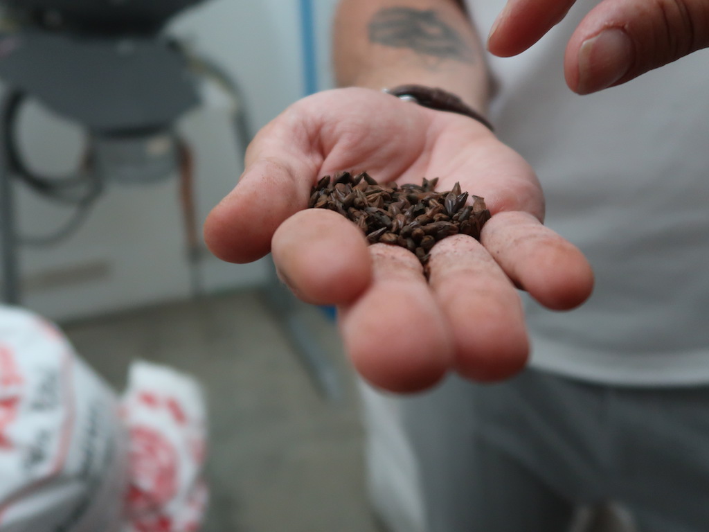 Brewery C - grains