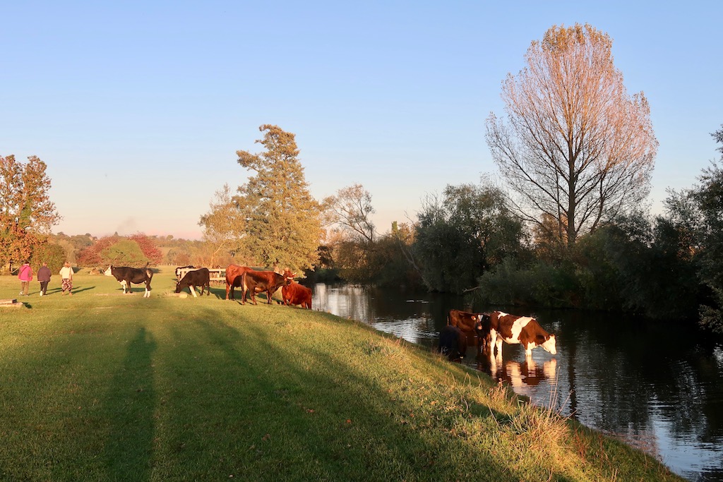 River Stour Dedham Essex River Stour Dedham Essex