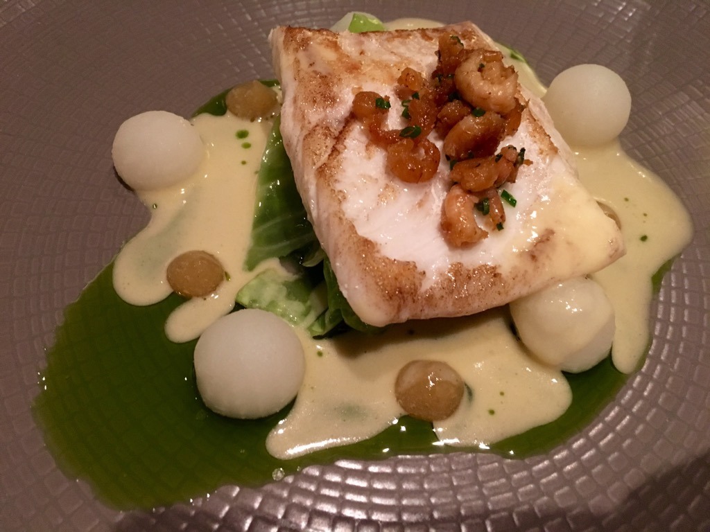 The Olive tree brill