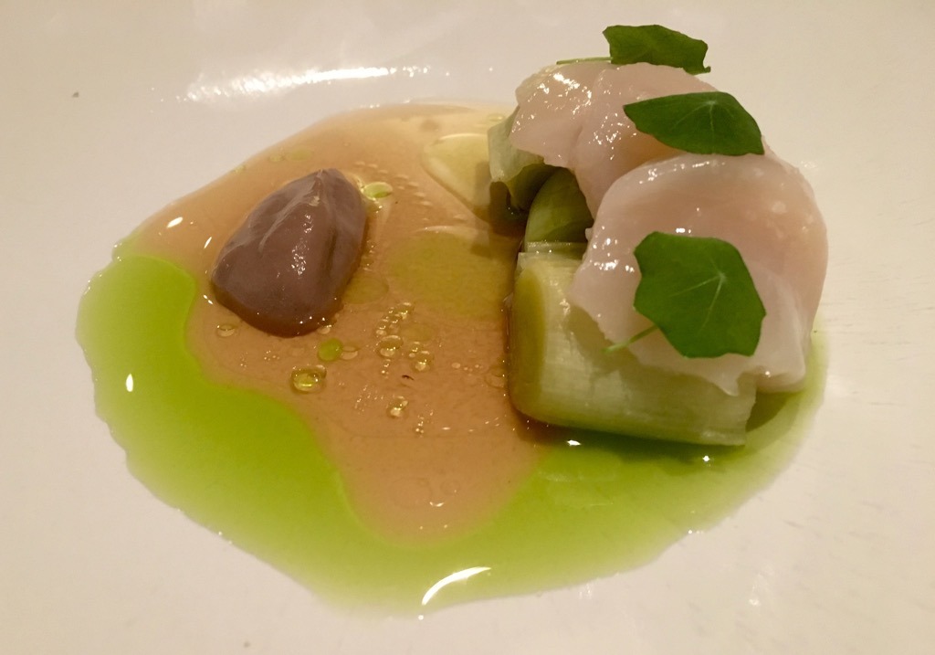 The Olive tree leek