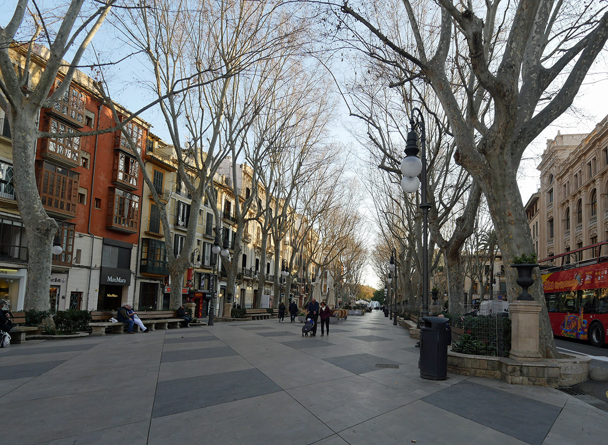Paseo del Borne Palma
