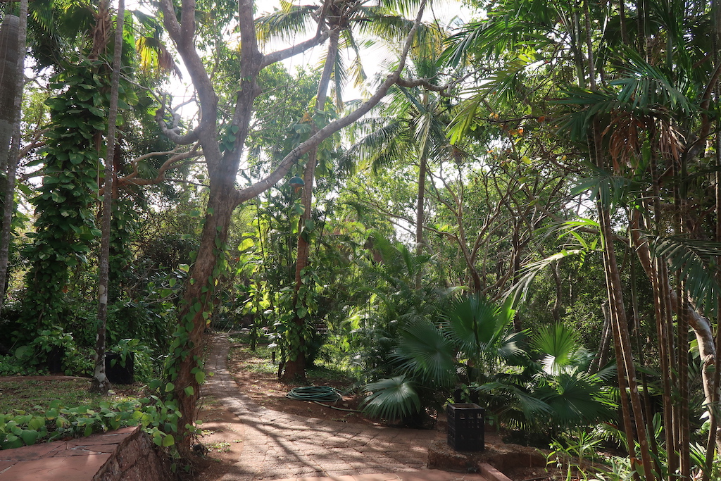 Nilaya Hermitage - forest path
