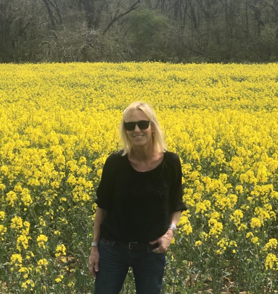 Fields of yellow - Cotswolds