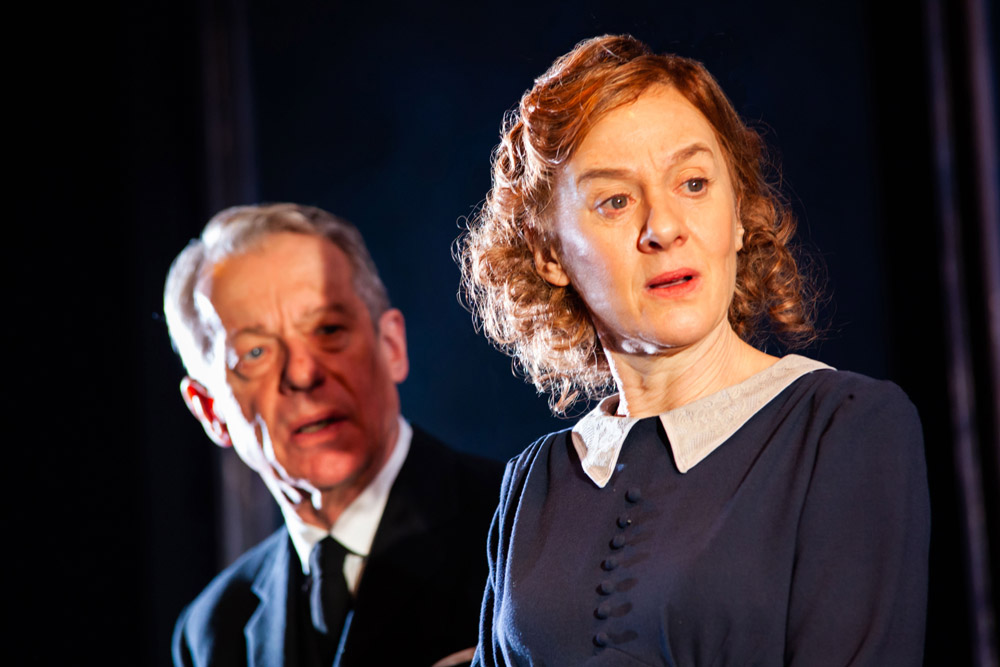 Niamh Cusack and Stephen Boxer in the Remains of the Day