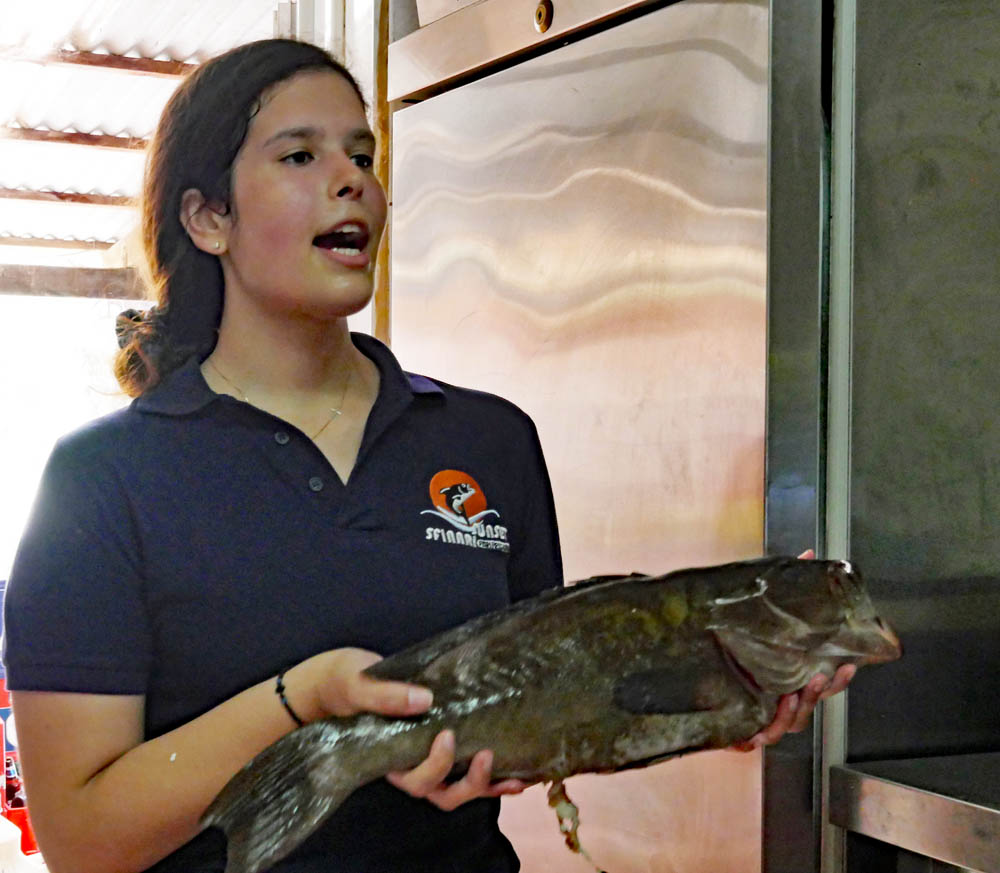 Black Grouper at Sunset Restaurant