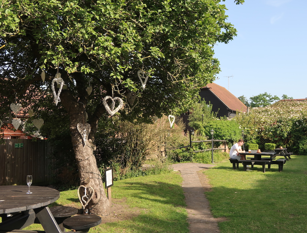 The Talbot Ripley garden