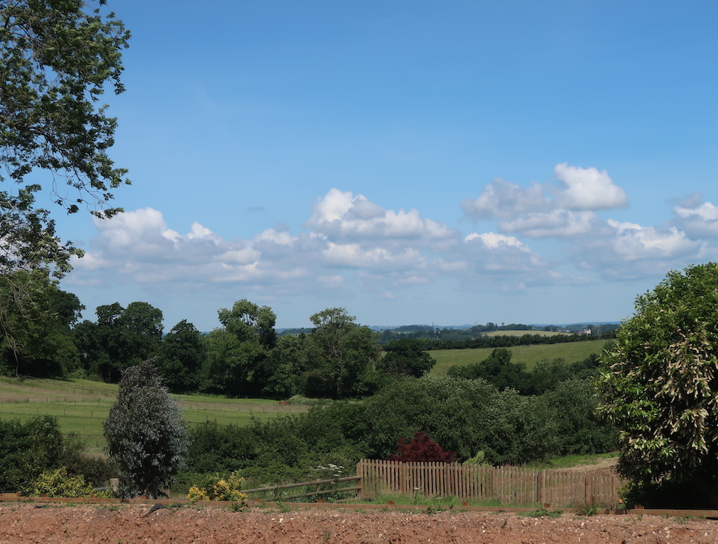 View from Wild Old Oak Barn