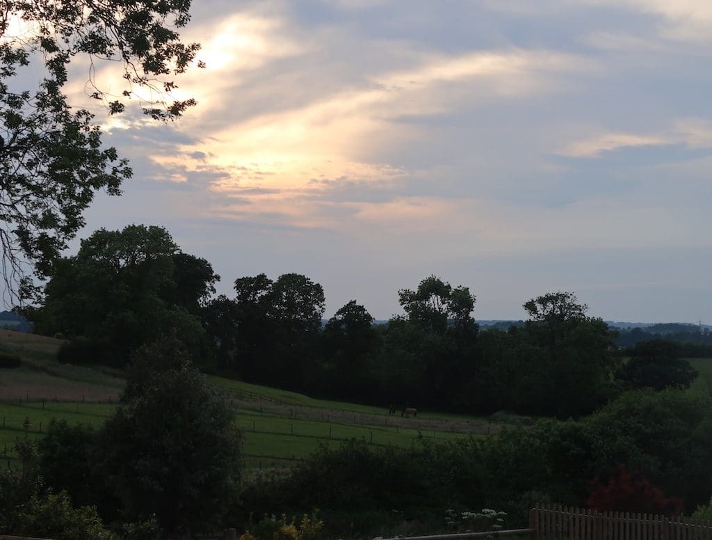 Wild Oak Barn - Ottery St Mary