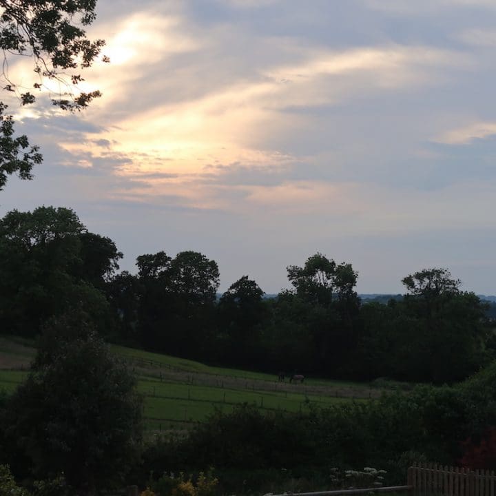Wild Oak Barn - Ottery St Mary