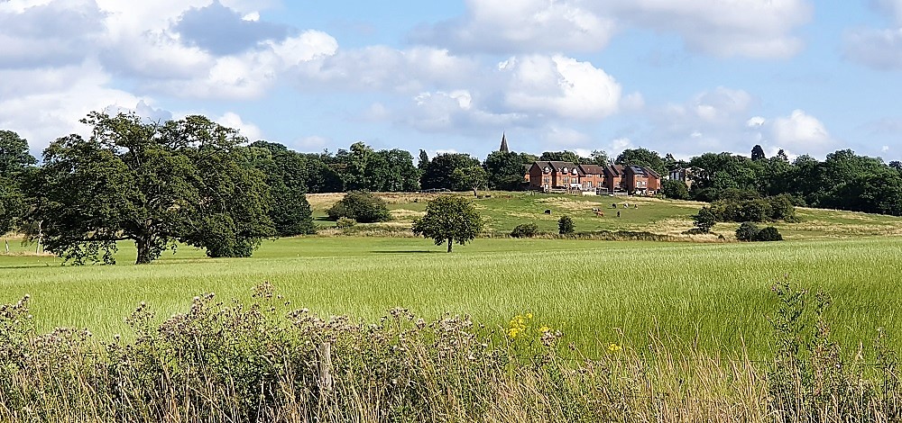 Home-Farm-Glamping-View up hill