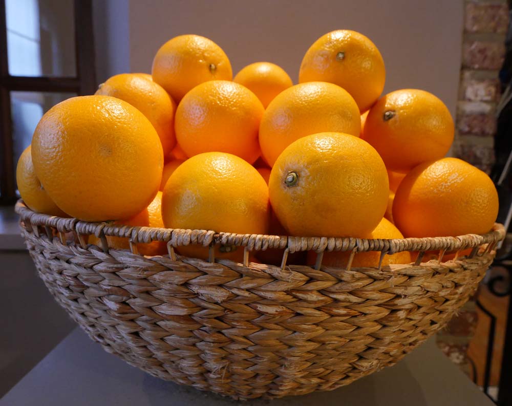 Oranges for Juicing Les Tanneurs