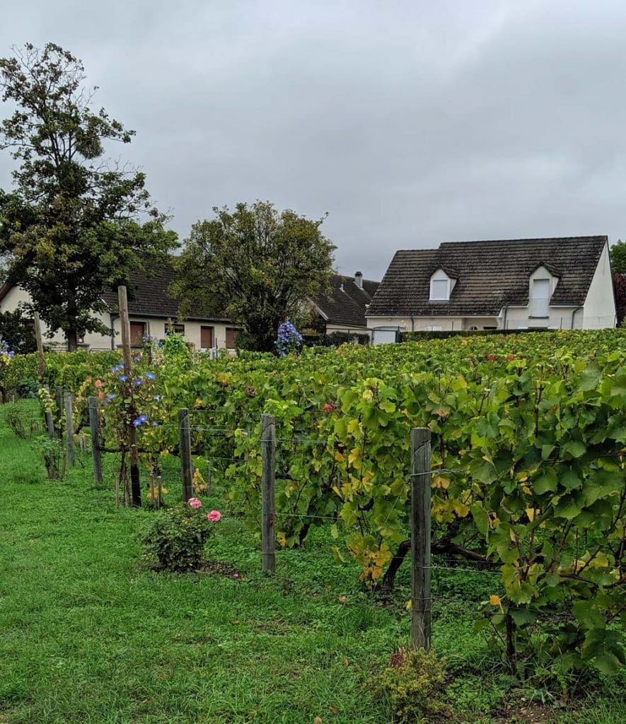 Clos St Hilaire