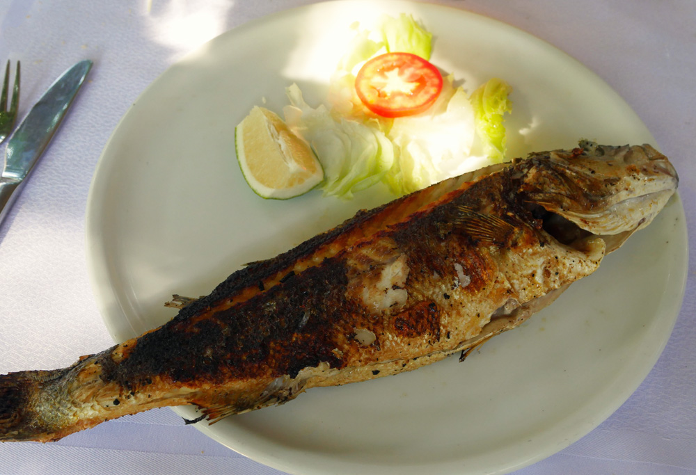 Grilled Seabass - Chez Achour Hammamet