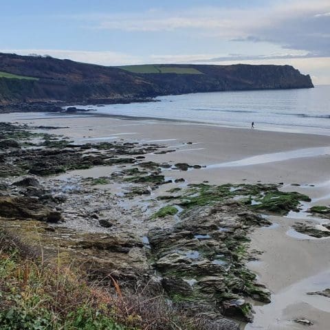 Carne Beach - The Lugger Cornwall