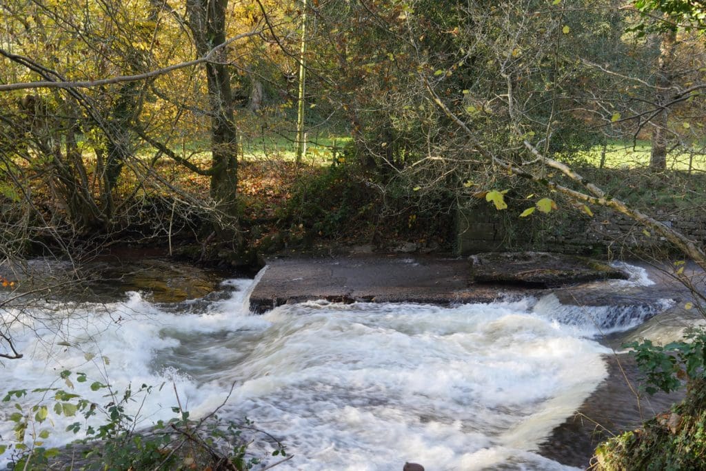 Salmon leaping abergavenny