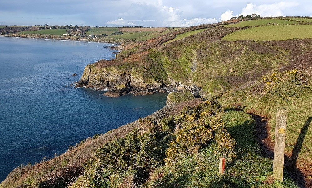South-West-Coastal-Path-towards-Carne-Beach