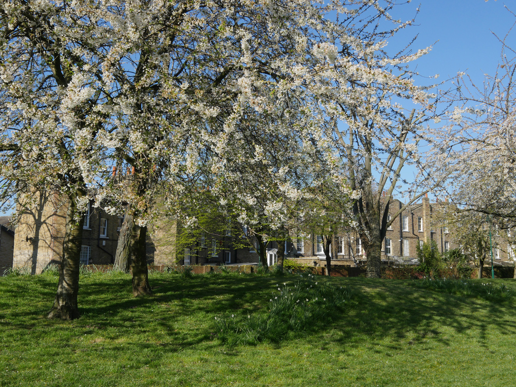 Pasley Park, Walworth London