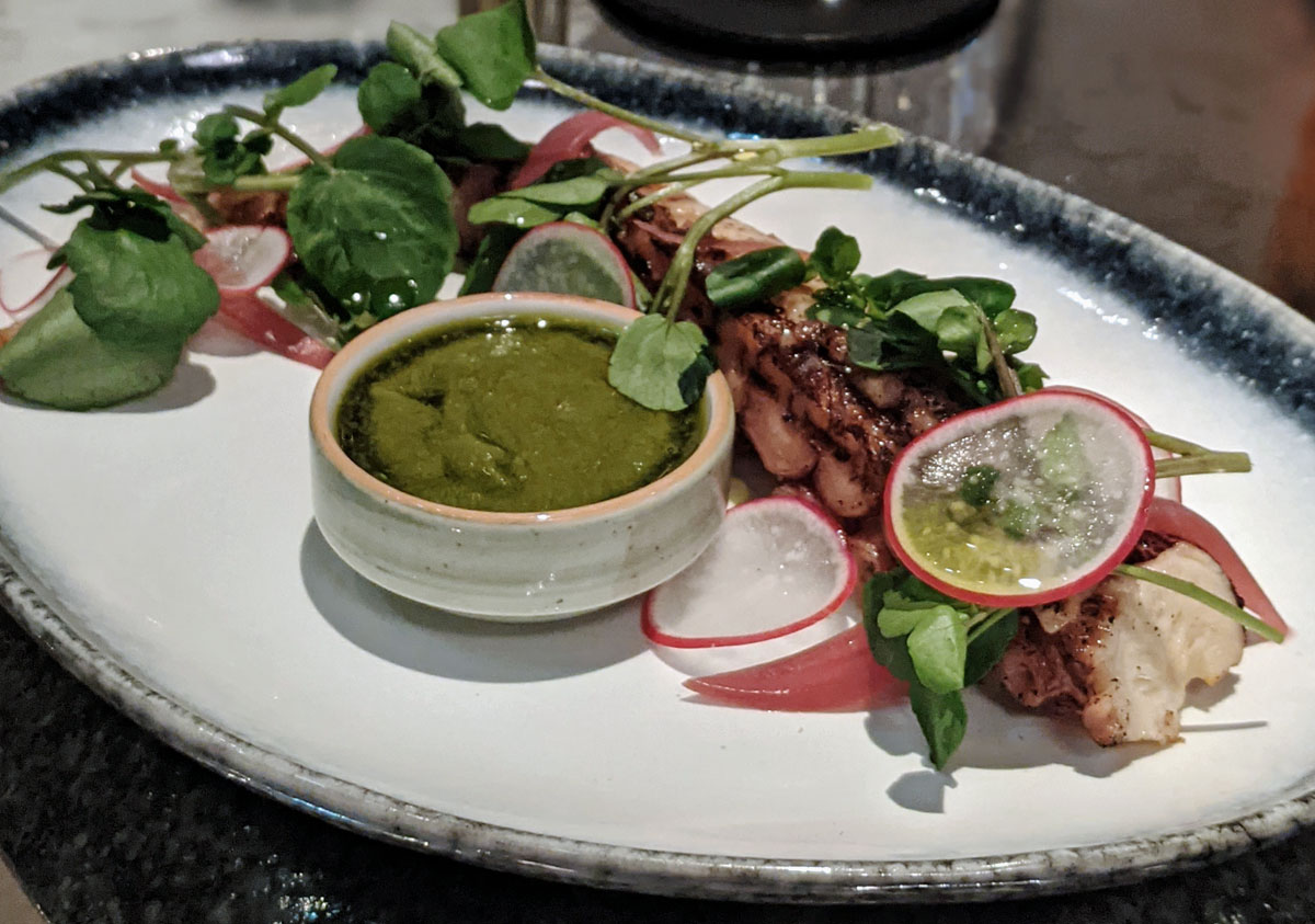 Churchill Bar Octopus
