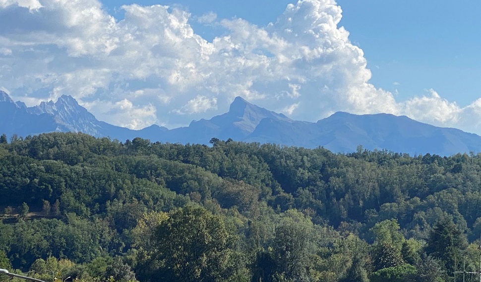 View towards the mountains from the terrace