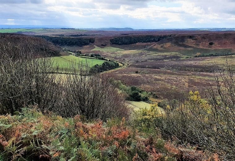 View of the North York Moors at the Hole of Horcum