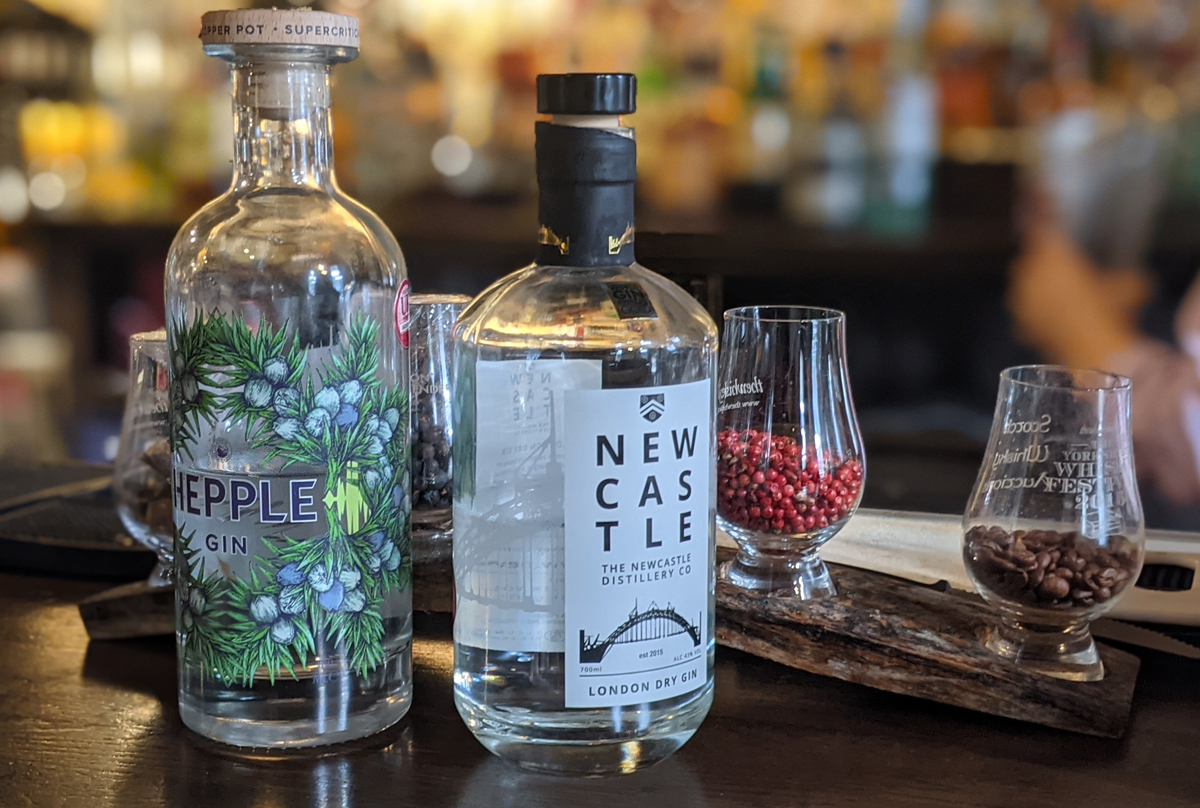 newcastle gins