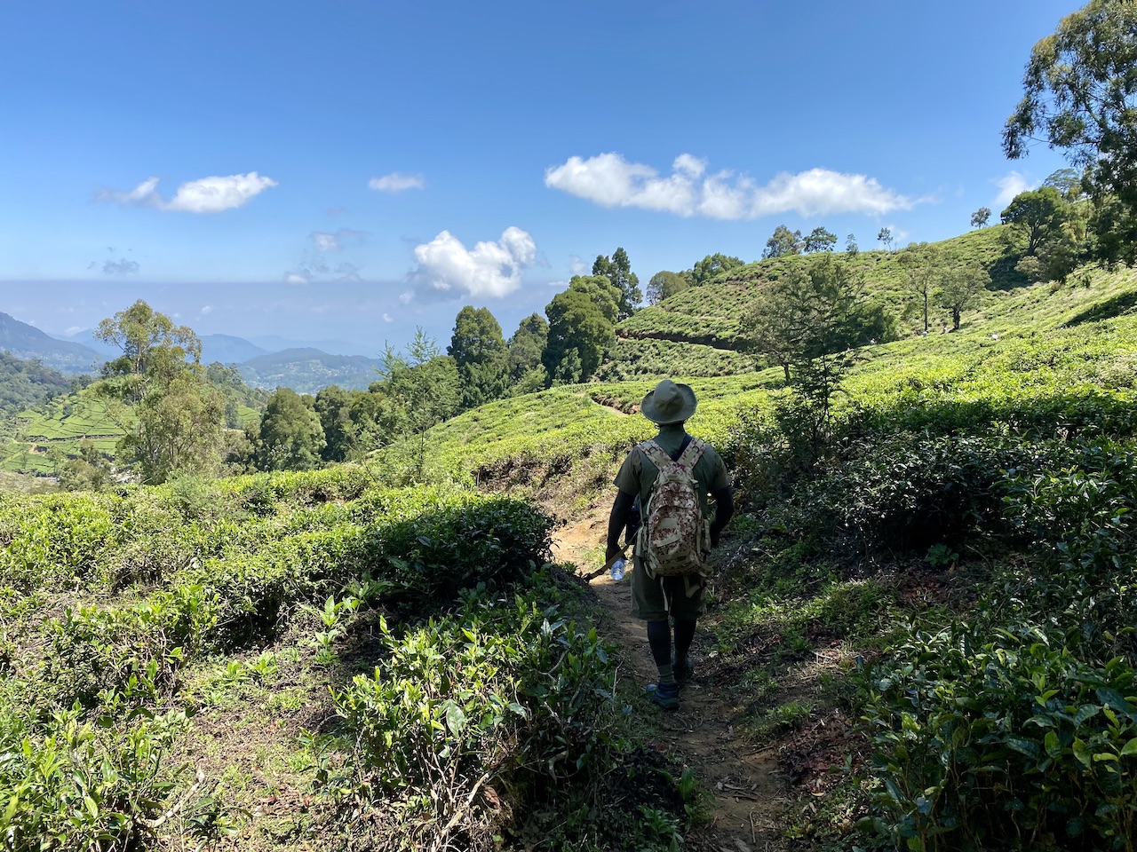 Sri Lankan mountains walk