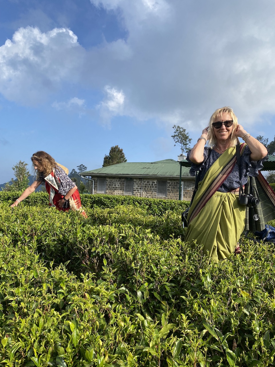 Tea Plucking lesson