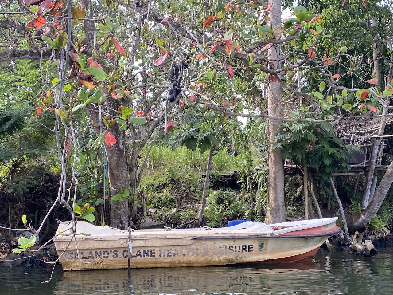 Madu River
