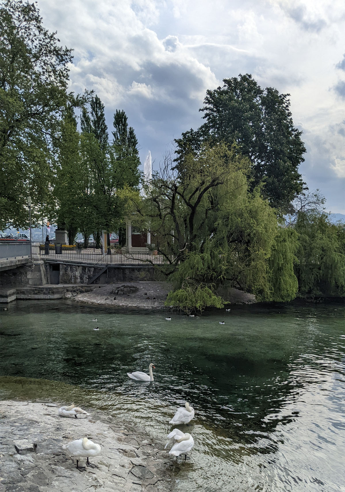 Geneva bridge