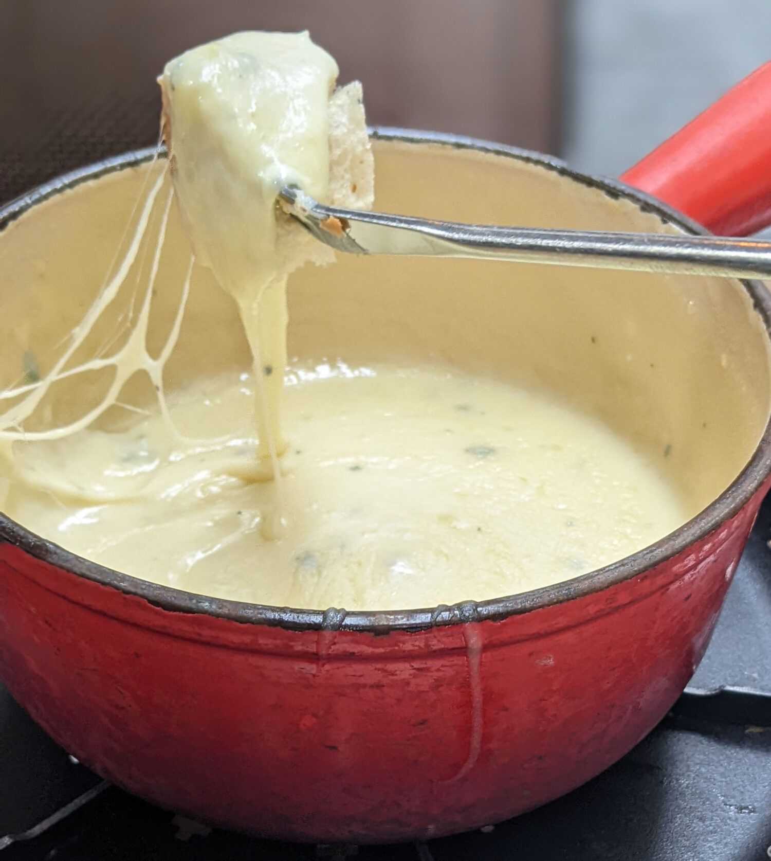 Les Armures Geneva - Fondue