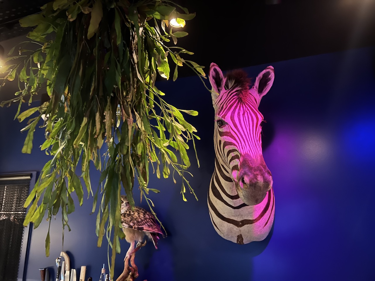 Hux Hotel zebra wall hanging