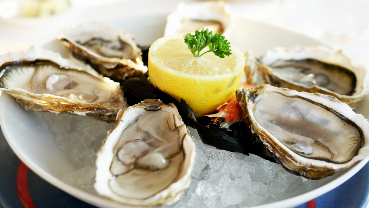 Oysters - Calais