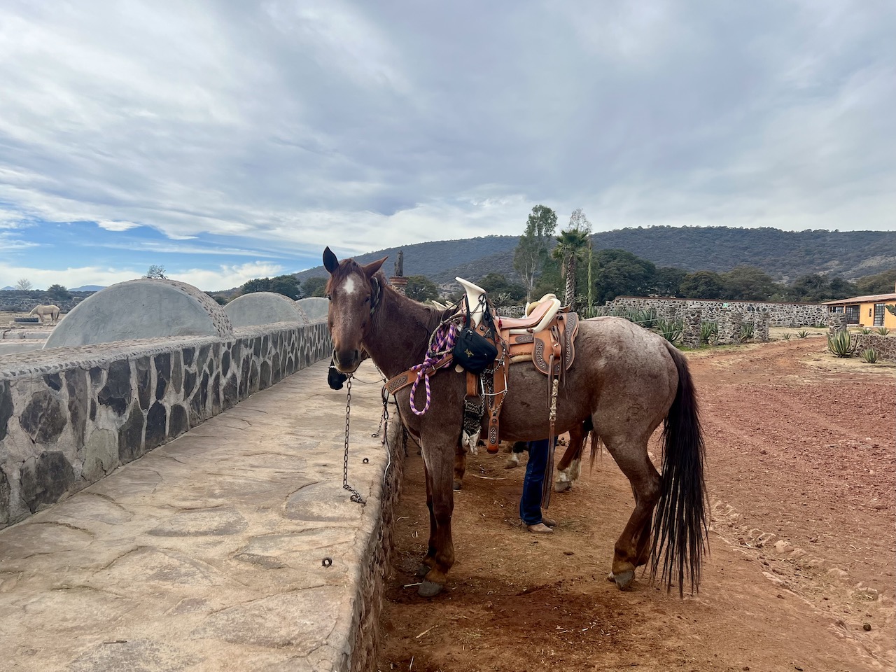 Horse at Rancho Las Cascadas