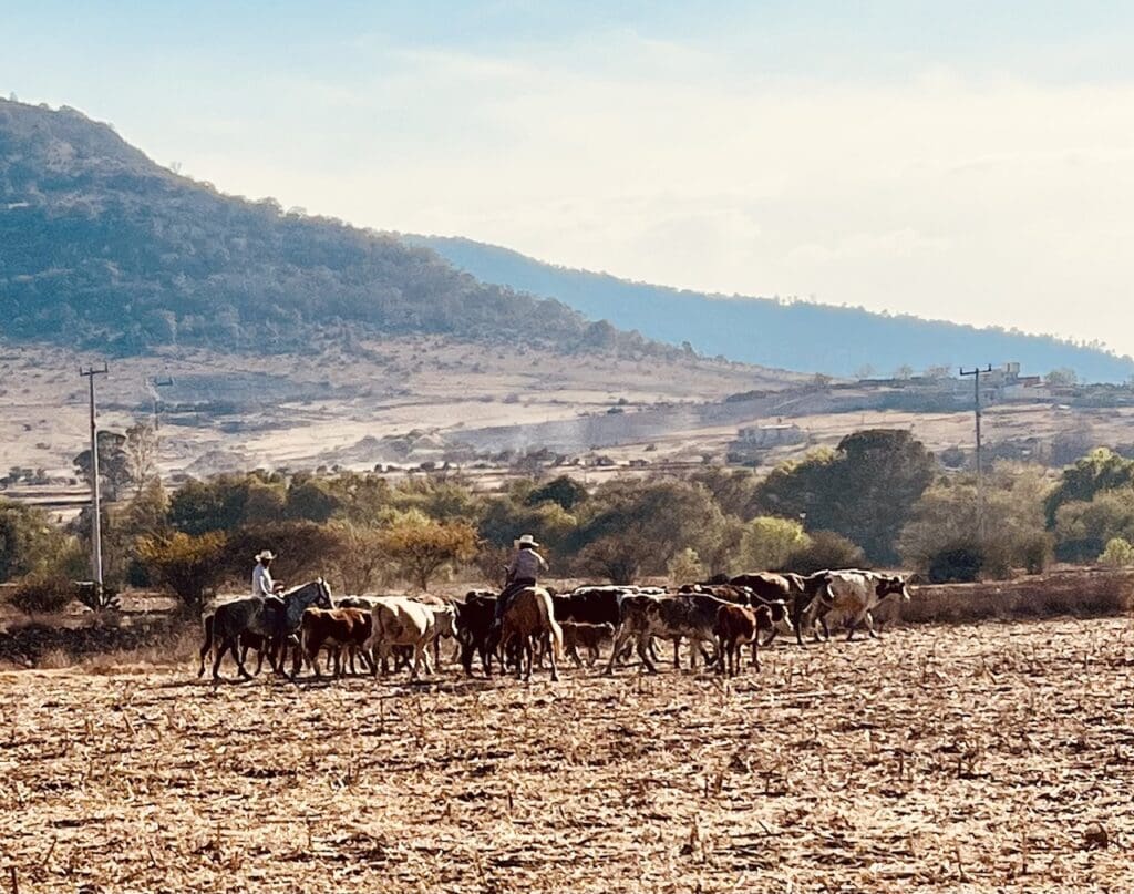 Ranch life Mexico