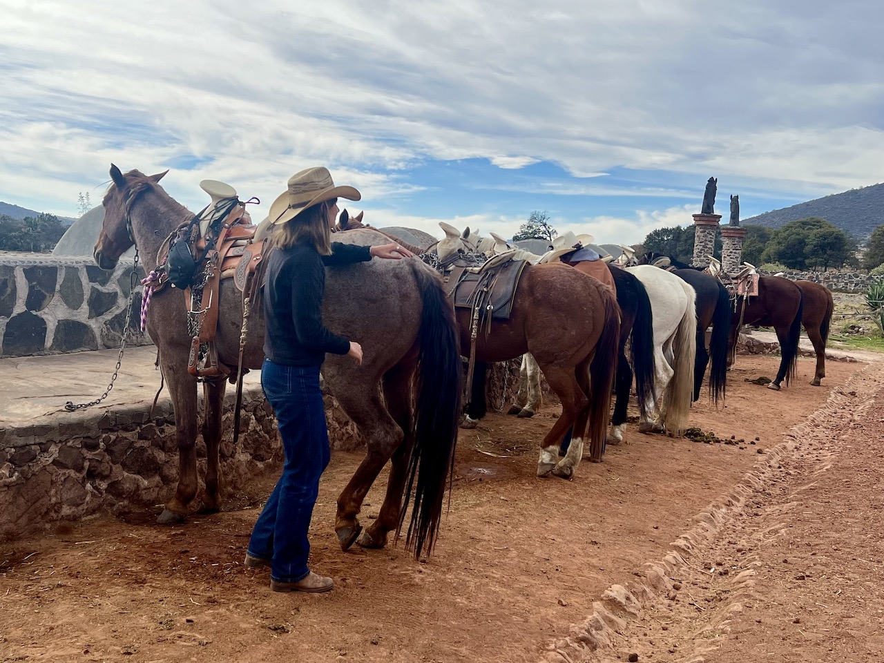 Rancho Las Cascadas horses