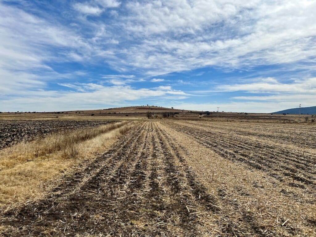 Rancho Las Cascadas landscape