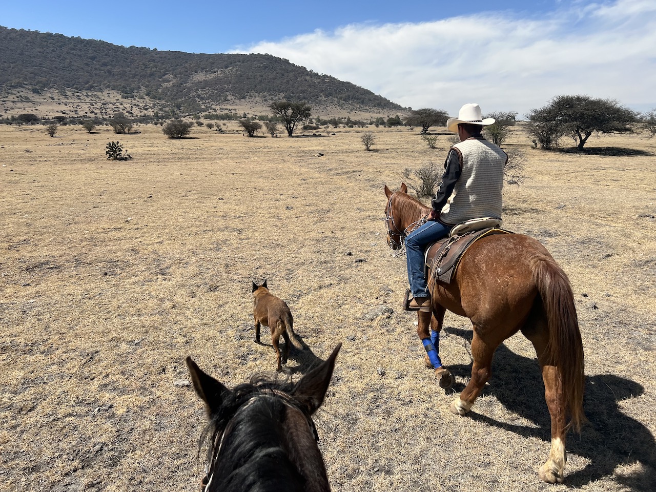 Rancho Las Cascadas riding