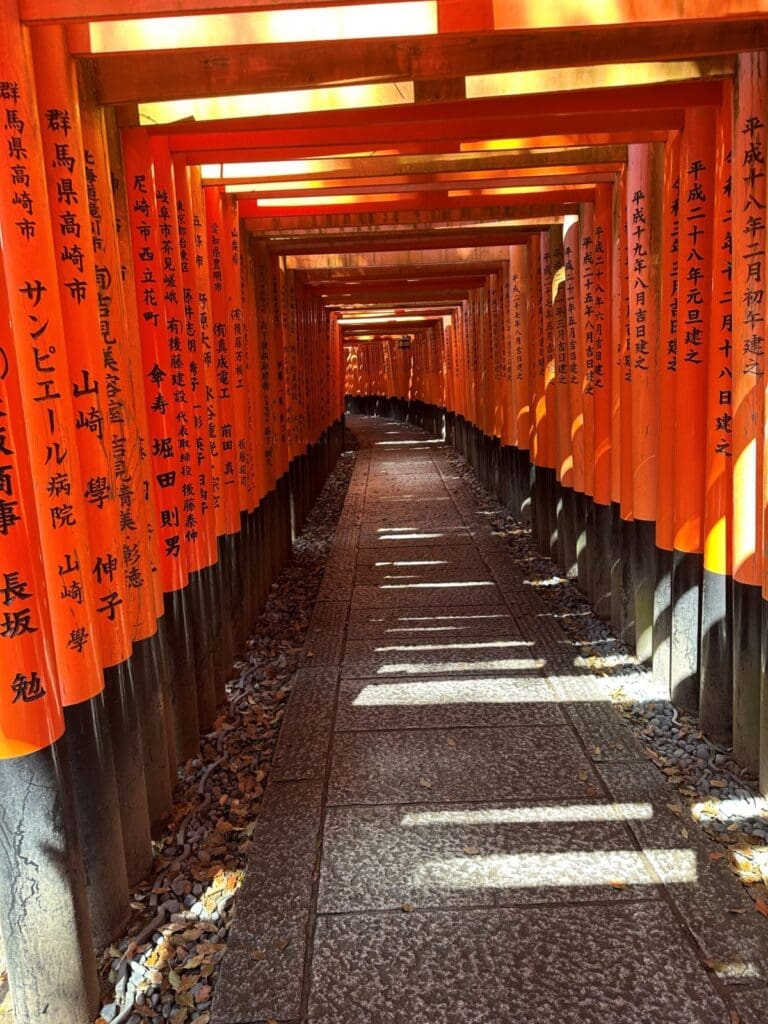 Activitygift offers guided tours of Fushimi Inari shrine in Kyoto