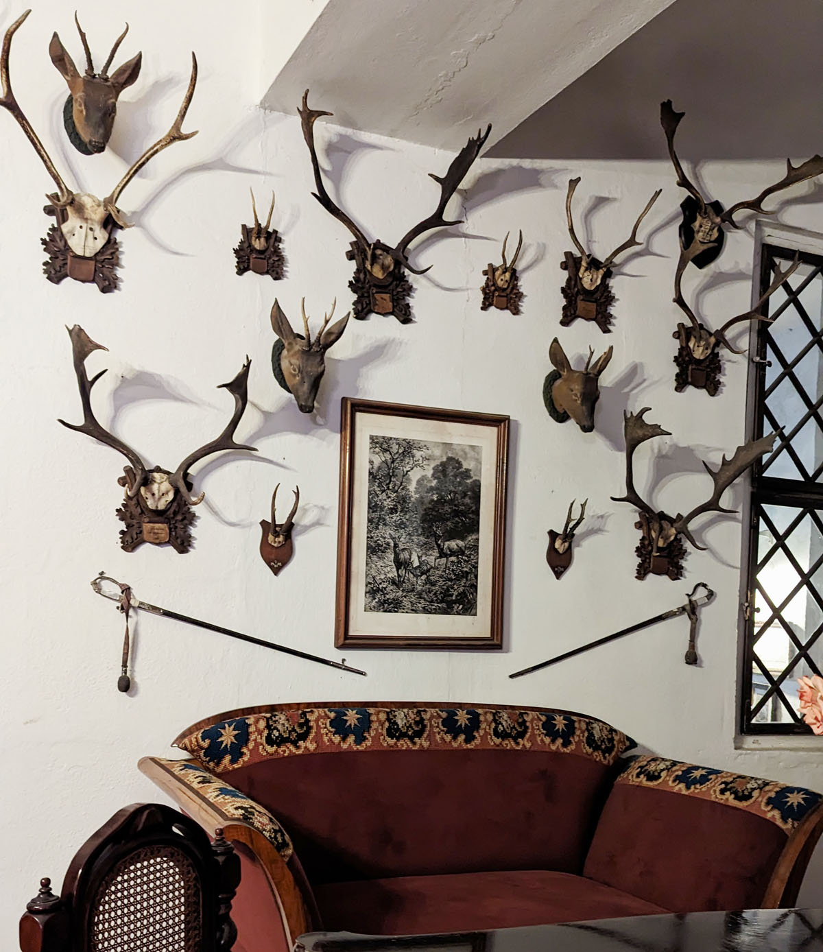 Trophy Corner - Cesky Sternbeck