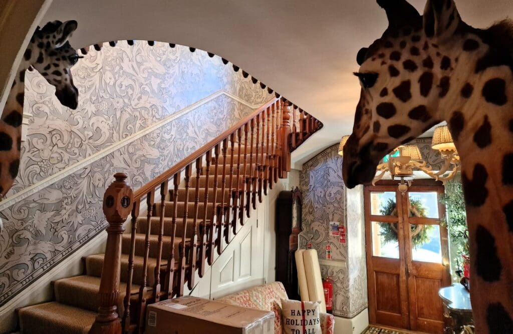 old-bell-hotel.malmesbury.entrance-hall.two-stuffed-giraffes.