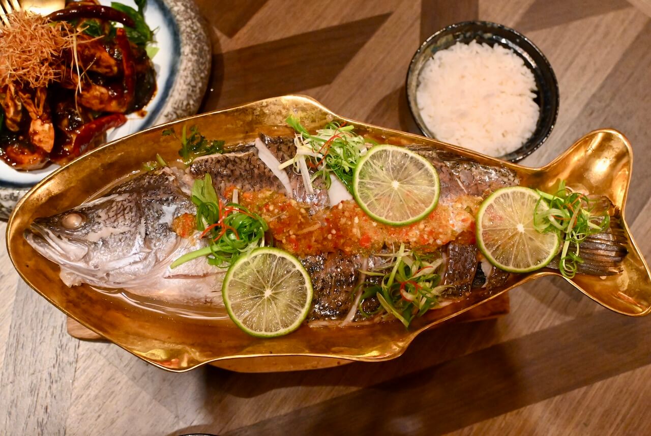 ChomSindh sea bass