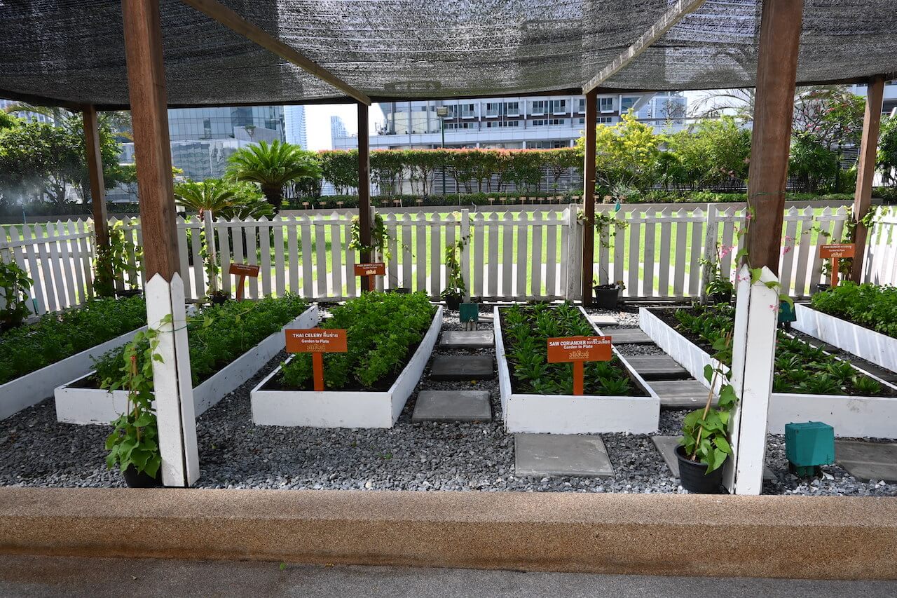 Herb garden