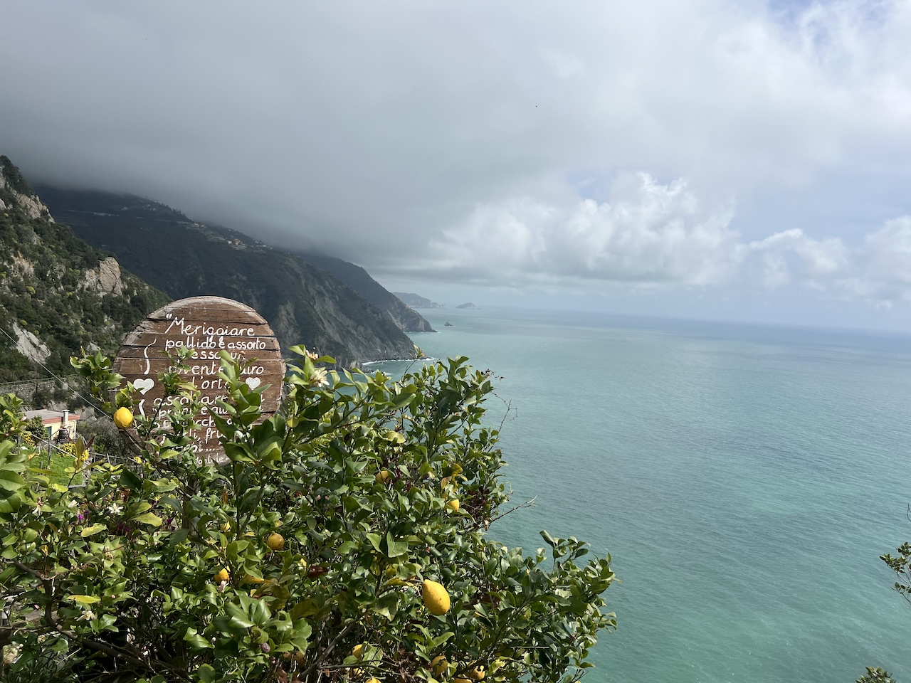 Cinque Terre lemons