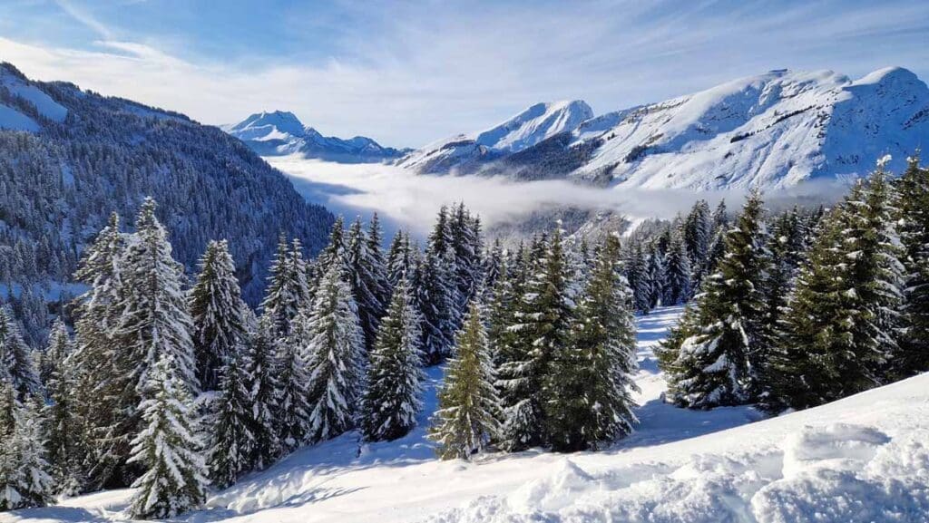 Snowy mountains