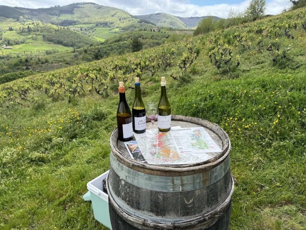 Wine tasting in the vineyard Célia and David Large Beaujolais