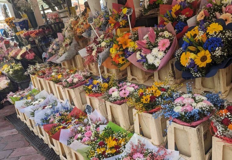 Flowers In Nice Old Town